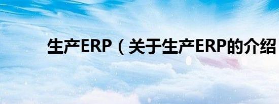 生产ERP（关于生产ERP的介绍）