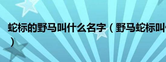 蛇标的野马叫什么名字（野马蛇标叫什么名字）