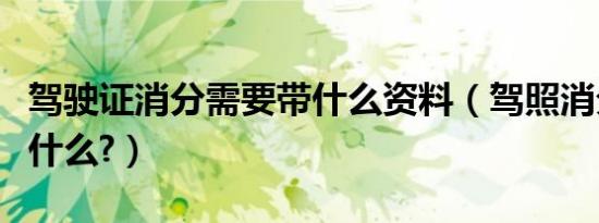 驾驶证消分需要带什么资料（驾照消分需要带什么?）