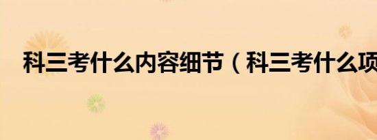 科三考什么内容细节（科三考什么项目?）