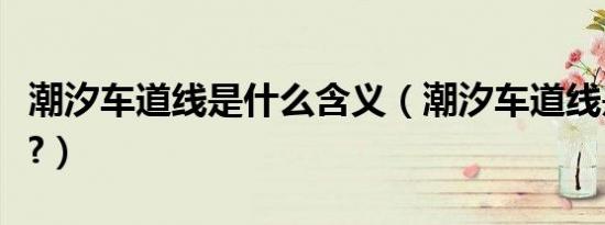 潮汐车道线是什么含义（潮汐车道线是啥意思?）
