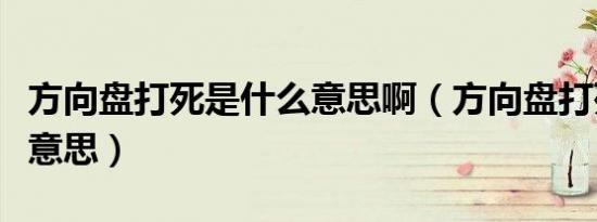 方向盘打死是什么意思啊（方向盘打死是什么意思）