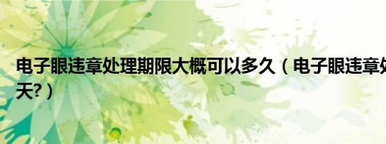 电子眼违章处理期限大概可以多久（电子眼违章处理期限30天?）