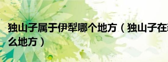 独山子属于伊犁哪个地方（独山子在新疆的什么地方）