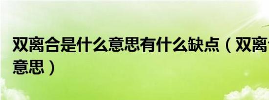 双离合是什么意思有什么缺点（双离合是什么意思）