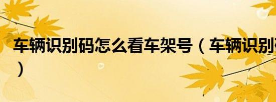 车辆识别码怎么看车架号（车辆识别码怎么看）