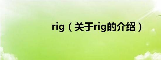 rig（关于rig的介绍）