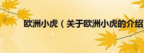 欧洲小虎（关于欧洲小虎的介绍）