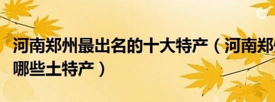 河南郑州最出名的十大特产（河南郑州特产有哪些土特产）