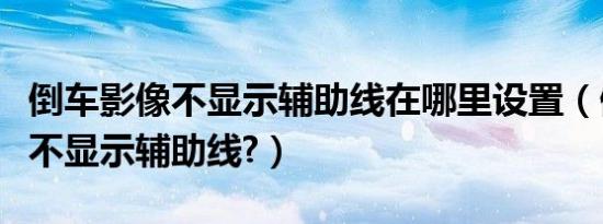 倒车影像不显示辅助线在哪里设置（倒车影像不显示辅助线?）