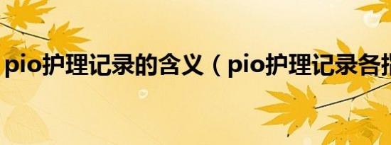 pio护理记录的含义（pio护理记录各指什么）