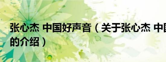 张心杰 中国好声音（关于张心杰 中国好声音的介绍）