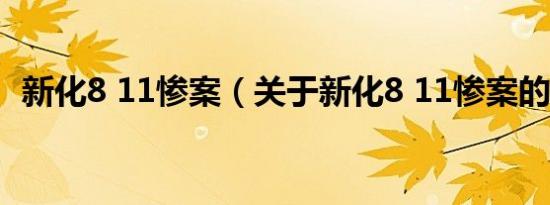 新化8 11惨案（关于新化8 11惨案的介绍）
