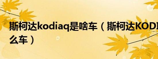 斯柯达kodiaq是啥车（斯柯达KODIAQ是什么车）