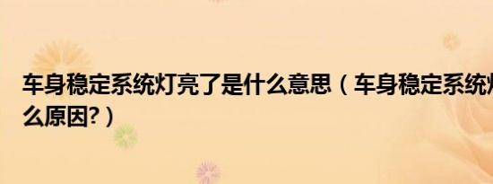 车身稳定系统灯亮了是什么意思（车身稳定系统灯亮了是什么原因?）