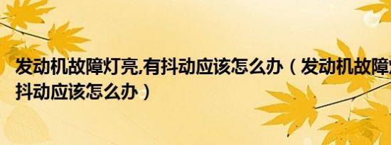发动机故障灯亮,有抖动应该怎么办（发动机故障灯亮了车子抖动应该怎么办）