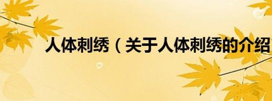 人体刺绣（关于人体刺绣的介绍）