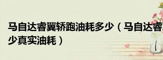 马自达睿翼轿跑油耗多少（马自达睿翼油耗多少真实油耗）