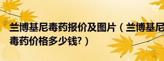 兰博基尼毒药报价及图片（兰博基尼veneno毒药价格多少钱?）