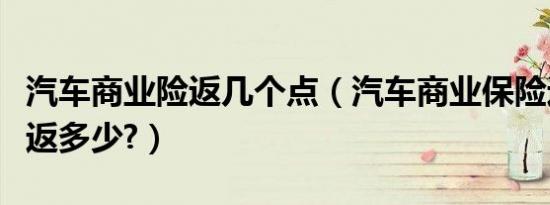 汽车商业险返几个点（汽车商业保险返点一般返多少?）