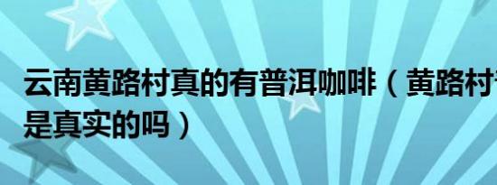 云南黄路村真的有普洱咖啡（黄路村普洱咖啡是真实的吗）
