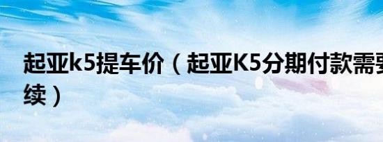 起亚k5提车价（起亚K5分期付款需要什么手续）