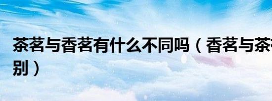 茶茗与香茗有什么不同吗（香茗与茶有什么区别）