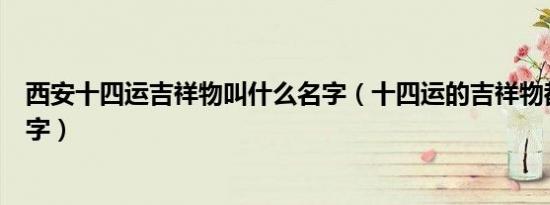 西安十四运吉祥物叫什么名字（十四运的吉祥物都叫什么名字）