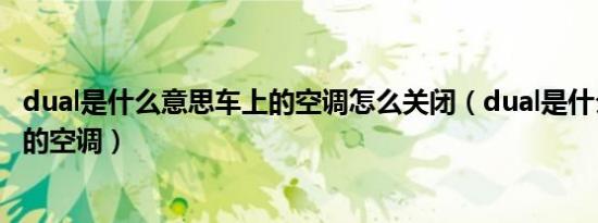 dual是什么意思车上的空调怎么关闭（dual是什么意思车上的空调）