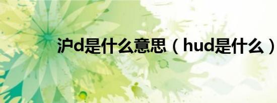 沪d是什么意思（hud是什么）