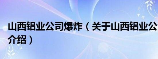 山西铝业公司爆炸（关于山西铝业公司爆炸的介绍）