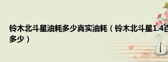 铃木北斗星油耗多少真实油耗（铃木北斗星1.4百公里油耗多少）