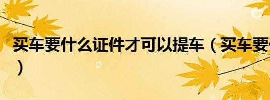 买车要什么证件才可以提车（买车要什么证件）