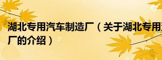 湖北专用汽车制造厂（关于湖北专用汽车制造厂的介绍）