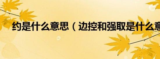 约是什么意思（边控和强取是什么意思）