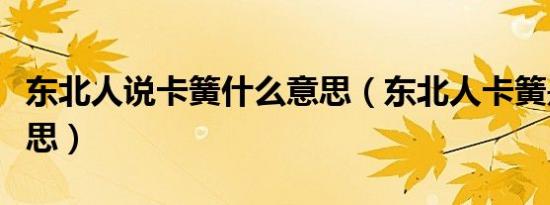 东北人说卡簧什么意思（东北人卡簧是什么意思）