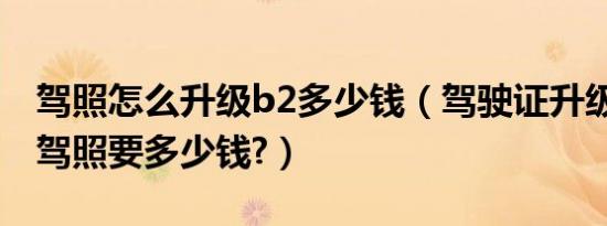 驾照怎么升级b2多少钱（驾驶证升级c1升b2驾照要多少钱?）