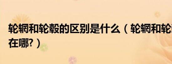 轮辋和轮毂的区别是什么（轮辋和轮毂的区别在哪?）