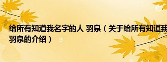 给所有知道我名字的人 羽泉（关于给所有知道我名字的人 羽泉的介绍）