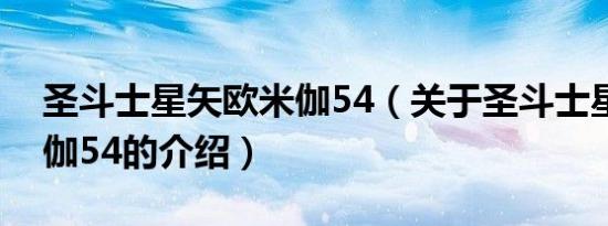 圣斗士星矢欧米伽54（关于圣斗士星矢欧米伽54的介绍）