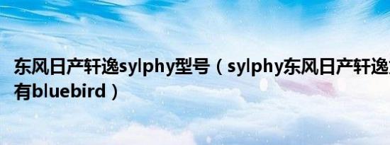 东风日产轩逸sylphy型号（sylphy东风日产轩逸为什么后面有bluebird）