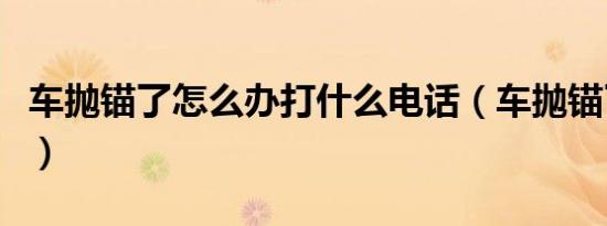 车抛锚了怎么办打什么电话（车抛锚了啥意思）
