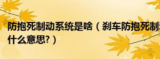 防抱死制动系统是啥（刹车防抱死制动系统是什么意思?）