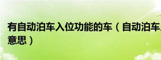 有自动泊车入位功能的车（自动泊车入位什么意思）