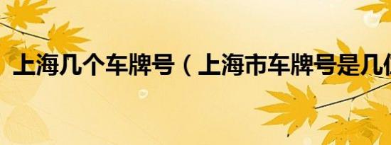 上海几个车牌号（上海市车牌号是几位数?）