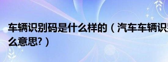 车辆识别码是什么样的（汽车车辆识别码是什么意思?）