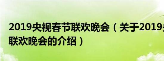 2019央视春节联欢晚会（关于2019央视春节联欢晚会的介绍）