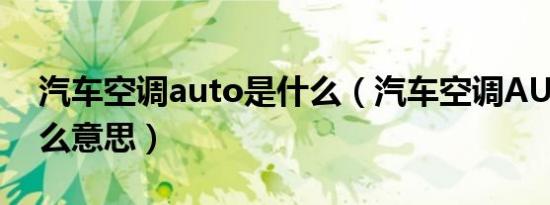 汽车空调auto是什么（汽车空调AUTO是什么意思）