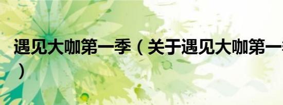 遇见大咖第一季（关于遇见大咖第一季的介绍）
