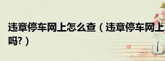 违章停车网上怎么查（违章停车网上怎么缴费吗?）